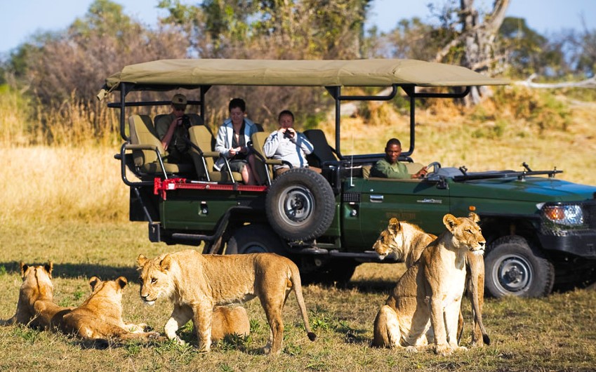 mejores safaris para visitar con niños