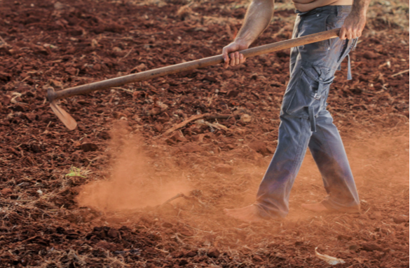 servicios en internet