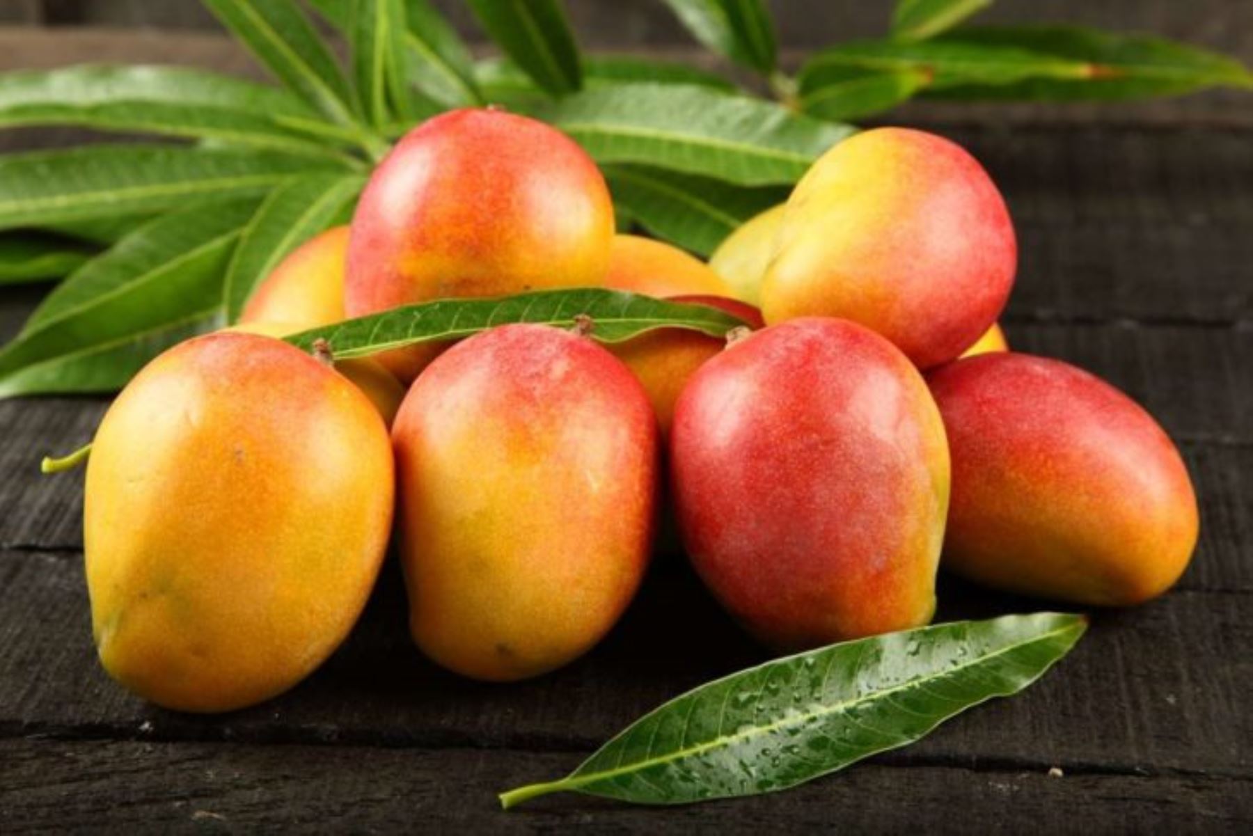 Descubre cómo el Mango puede mejorar tu salud digestiva