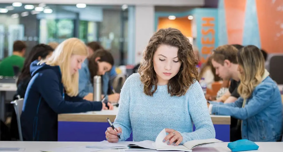 estudiar universidad