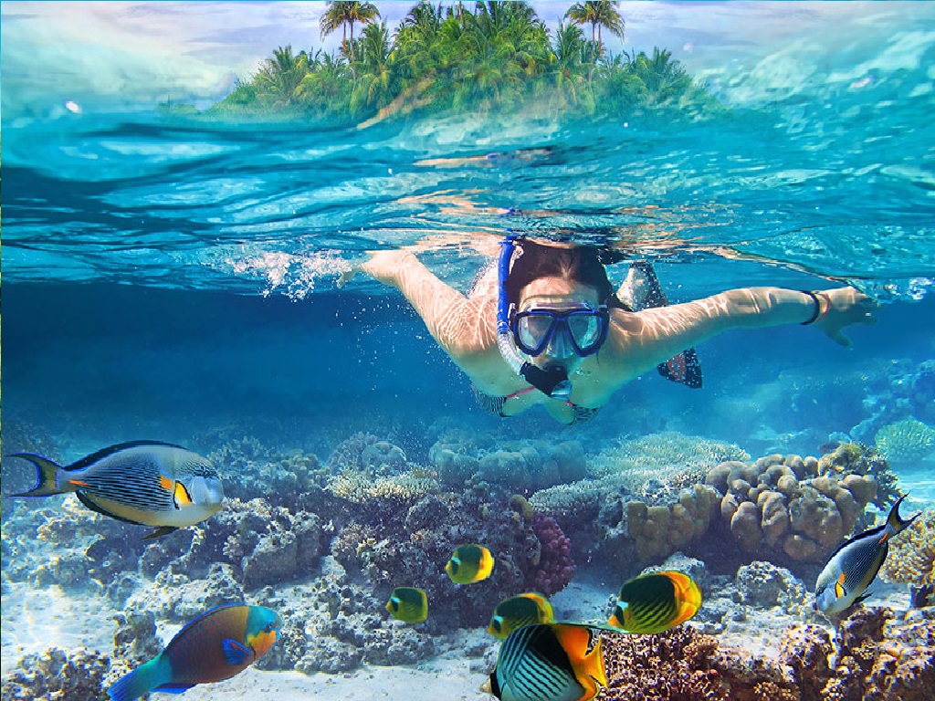 actividades en riviera maya