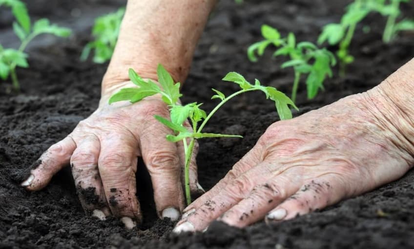 Descubre Almería Ecológica: Un Paraíso Sostenible