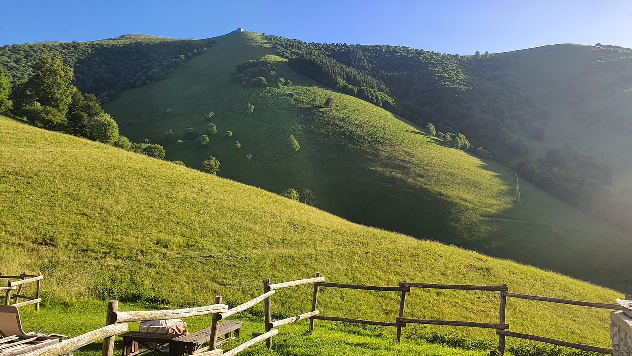 que pasa si como tomate crudo