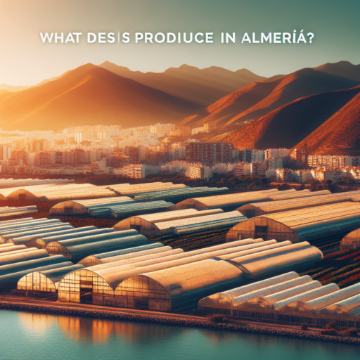 ¿Que producen en Almería?