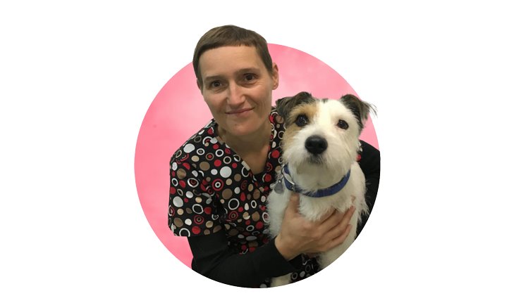 veterinario online