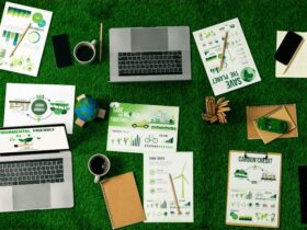 diseno web sostenible